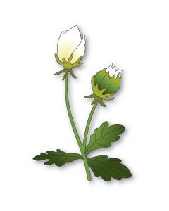 Rezalna šablona - Anemone Bud Duo - 8,4x13,2cm sestavljen motiv - Memory box