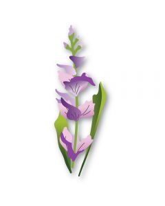 Rezalna šablona - Whimsical Gladiola - 4,1x12,2cm sestavljen motiv - Memory box